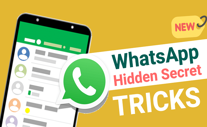 istudyinfo whatsapp unblock