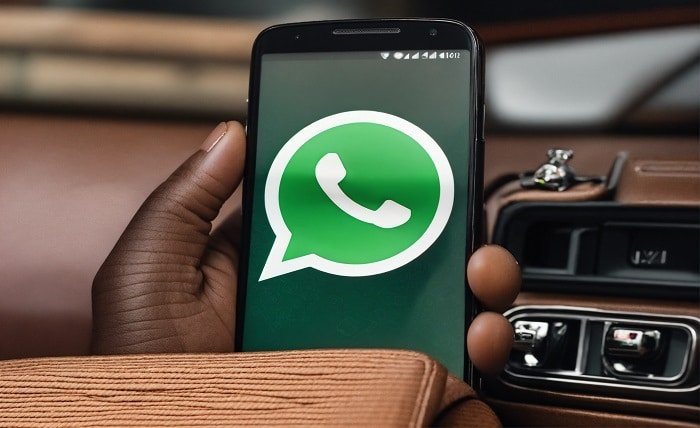 iStudyInfo WhatsApp Chat History