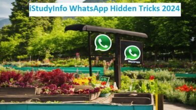 iStudyInfo WhatsApp Hidden Tricks 2024