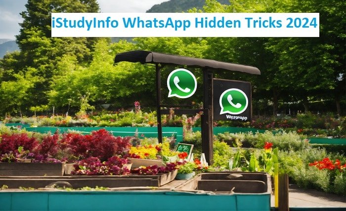 iStudyInfo WhatsApp Hidden Tricks 2024