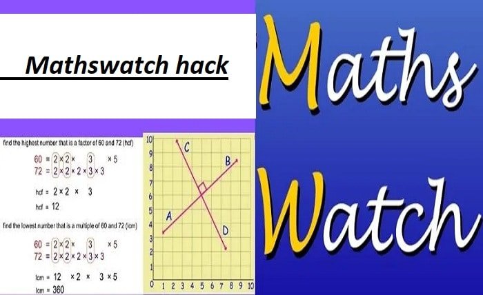 mathswatch hack