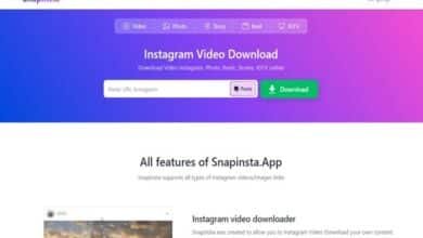 snapinsta instagram video download